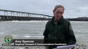 The TWRA and many others are working hard in the search for three boaters missing near Pickwick Dam. Here is an update on the search and rescue efforts with TWRA Regional Outreach & Communications Coordinator, Amy Spencer. #tnwildlife | Tennessee Wildlife Resources Agency