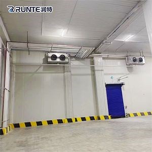 [Hot Item] Runte Brand Condensing Units PU Sandwich Panel Emerson Brand Compressor Condensing Unit Cold Room Freezer