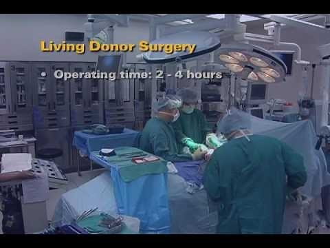 U-M Kidney Transplant Donor - Surgery (5 of 7)