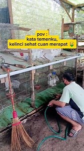 🗣️ Kelinci Sehat, Cuan Merapat 🤑 . Ihtiar yang wajib di lakukan agar kelinci tetap sehat Bersihkan kandang secara rutin Setelah buang kotoran, di semprot pakai air seperti ini bisa meminimalisir bau dan lebih bersih Step terakhir tinggal semprot destan 👍 #reelsfyp #wellness #healthcare #petsafety #mindfulness #positivity #positivevibes | Dezidan Rabbity