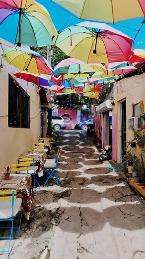 Poner tus prollecto en mano de Dios y tendrás grande resultado en abundancia 8097107318 | Henry Jose Andujar Manzanillo