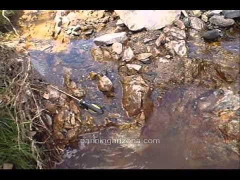 Easy Day-Gold panning in arizona