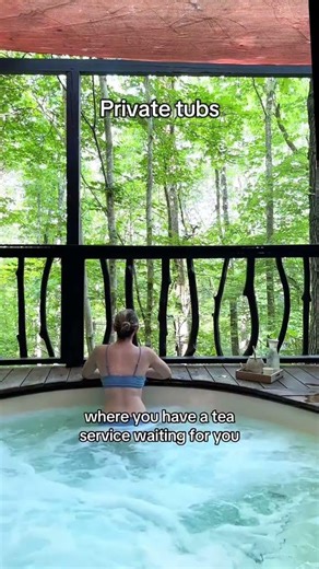 This unique Japanese day spa in Asheville NC is so special. #Shorts #thecltea