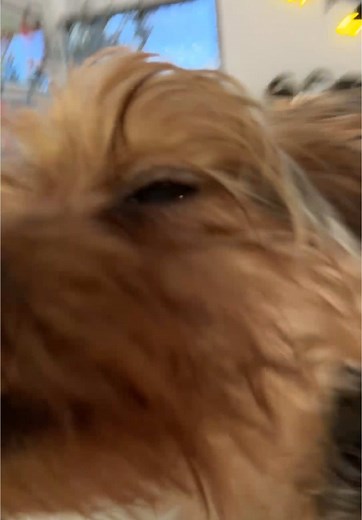 Michael Evans Behling in Cinderella Story Christmas Wish