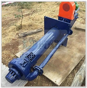 [Hot Item] Vertical Hydraulic Centrifugal Submersible Manure Desulfurization Titanium Vertical Single Stage Centrifugal Booster Pump for Tailings Management