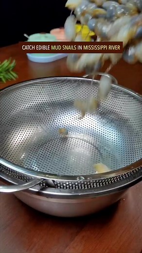 Easy & quick mud snails recipe in China have you ever seen it before #healthyrecipes #snail #chinesefood #cooking #foodlover | Food Recipes