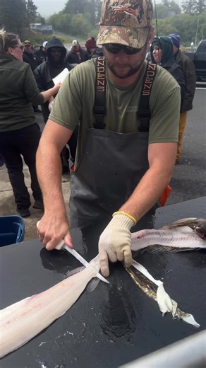 1.1M views · 9.4K reactions | How to fillet a ling cod. #fishing #fillet #lingcod #depoebay #pnw | Pnwcoastfishing | Facebook