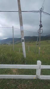 2.1K views · 60 reactions | Welcome to desa dairy farm  #tenangisgood | Amanda Omeychua | Facebook