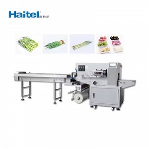 [Hot Item] Professional Manufacturer of Vegetable Packaging Machine