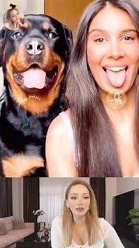 Dog Videos 2025 | Human Acting Like Dogs | Funny Animal Videos