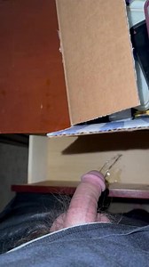 Man pissing in brother's drawer