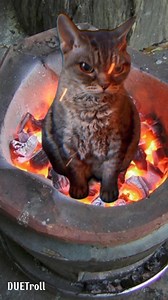 Hình ảnh sinh viên đang chill trong chính phòng trọ của mình:) | DUE Troll