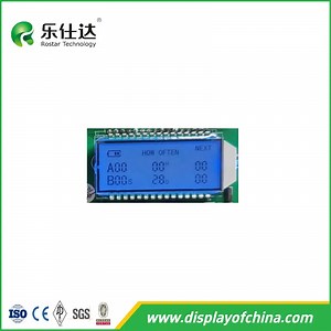 [Hot Item] Tn Positive LCD Module Segment LCD Display with Pin Connection