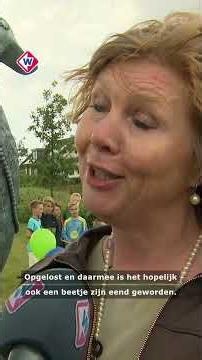 Beeld van 'depressieve' eend onthuld | #shorts