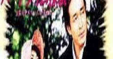 Part-time Detective (2002)  - Ver Película Completa en Español - FULLTV