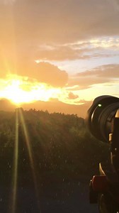 21 reactions | It started raining while I was photographing the...