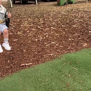 Disco loves the swings | The Norris Nuts