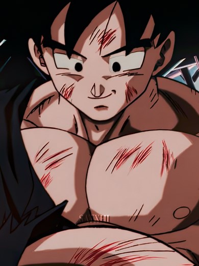Goku and the Final Battles in DBZ Movies