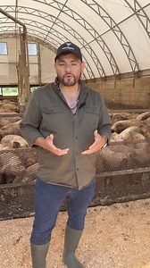 🐖 🚜 Featured Food Producer: Champlain Valley Farm, Addison VT Meet Ethan Gevry, the dedicated owner and operator of Champlain Valley Farm. Ethan purchased the farm from his grandparents in 2018 while still in high school! Today, he raises about 1,000 pigs and proudly supplies pork to locally owned foodservice distributor Black River Produce. As a fourth-generation farmer, Ethan is passionate about his pigs and committed to providing quality meat to his community. At the Bierhall we believe in 