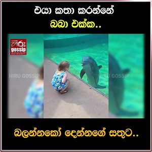 45K views · 1.7K reactions | දෙන්නගේ සතුට බලන්නකෝ.. | Hiru Gossip | Facebook