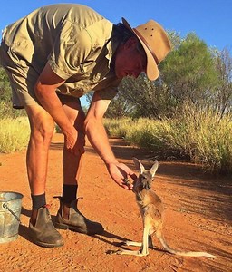 Cum a cucerit un pui de cangur orfan internetul - avea nevoie de putin mai multa dragoste!