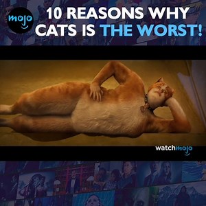 I mean... Cats suck. | WatchMojo