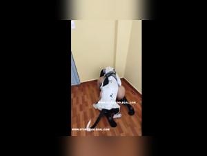 zoophilie video compilation 2023 - DogFuck.net