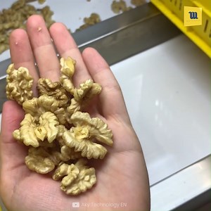69K views · 3.6K reactions | Amazing Walnuts Processing Line | Mechanical Mind | Facebook