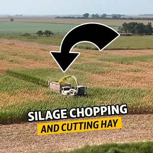 36K views · 1.1K reactions | Forage Farming: Silage Chopping & Hay Cutting | Sonne Farms | Facebook