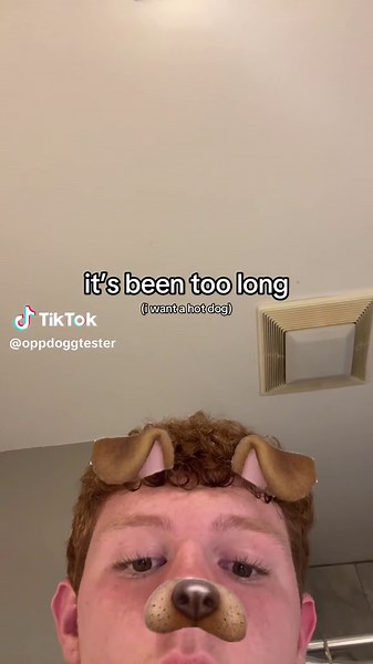 oppdoggtester on TikTok