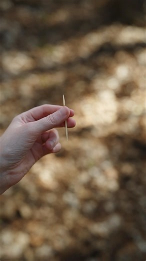 540K views · 10K reactions | Toothpick Vanish ✨ #magic | Ekaterina | Facebook