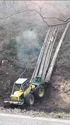 21K views · 260 reactions | What is Forestry Logging | Giant Machine | Facebook
