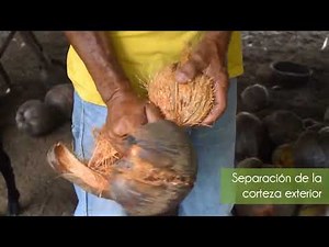 Bio Co - Coco - Separación de corteza de Coco
