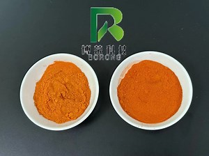 [Hot Item] Premium Marigold Flower Extract with Zeaxanthin for Vision Support