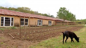 New business to repurpose four abandoned chicken houses - 47abc