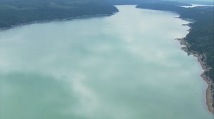 Hood Canal waters turn teal in plankton bloom that is visible from space