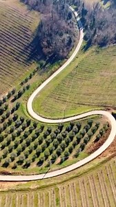 Potatura invernale 🌱 #podereriosto #cantinabologna #enoturismo #cabernetsauvignon #potaturavite #agriturismobologna #degustazionevini | Podere Riosto