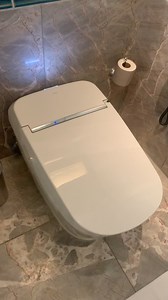 Apple toilet 🙏🙏🙏🙏 | Arshad Azad