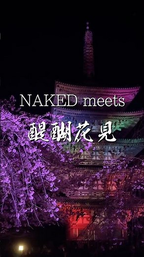 そうだ 京都、行こう。Presents NAKED meets 世界遺産 醍醐寺 ―醍醐花見―