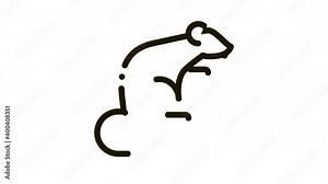 Rat Icon Animation. black Rat animated icon on white background