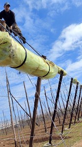 Installing plastic film for #agricultural #greenhouse. #Creativity_and_innovation 😊 | ابداع وابتكار