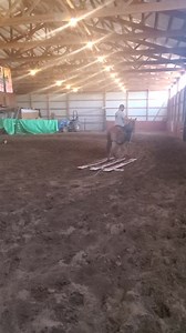 Missouri Mule Makeover/Ozark Mule Days on Reels