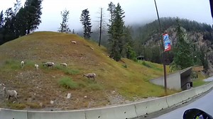 Somewhere near Radium Hot Springs on the way to Banff | 2UpTogether