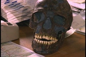 Homo Sapiens Versus Neanderthals | PBS LearningMedia