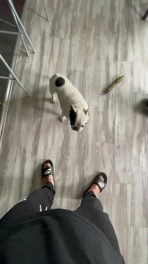 Sushkovnikita on TikTok