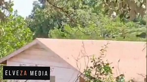 Did you know it's illegal to fly a torn, faded or dirty Kenyan flag according to the National Flag, Emblems and Names Act (Cap 99). The Act prohibits improper use or desecration of national symbols. Anyone found flying a torn, faded or dirty flag faces a fine not exceeding Ksh 5,000, imprisonment for a term not exceeding six months, or both. | Elveza Media