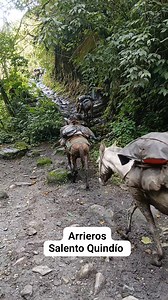 #arrieros | Chica Candela Ferney