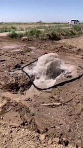 amazing | The New Journey