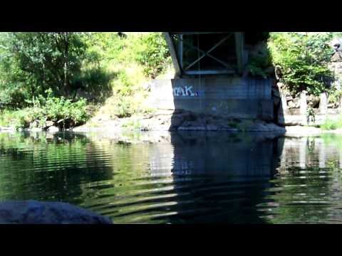 Cooling off on a hot day