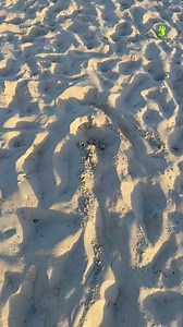 #marmandeaujourd'hui #casteljaloux | Marmande Aujourd'hui